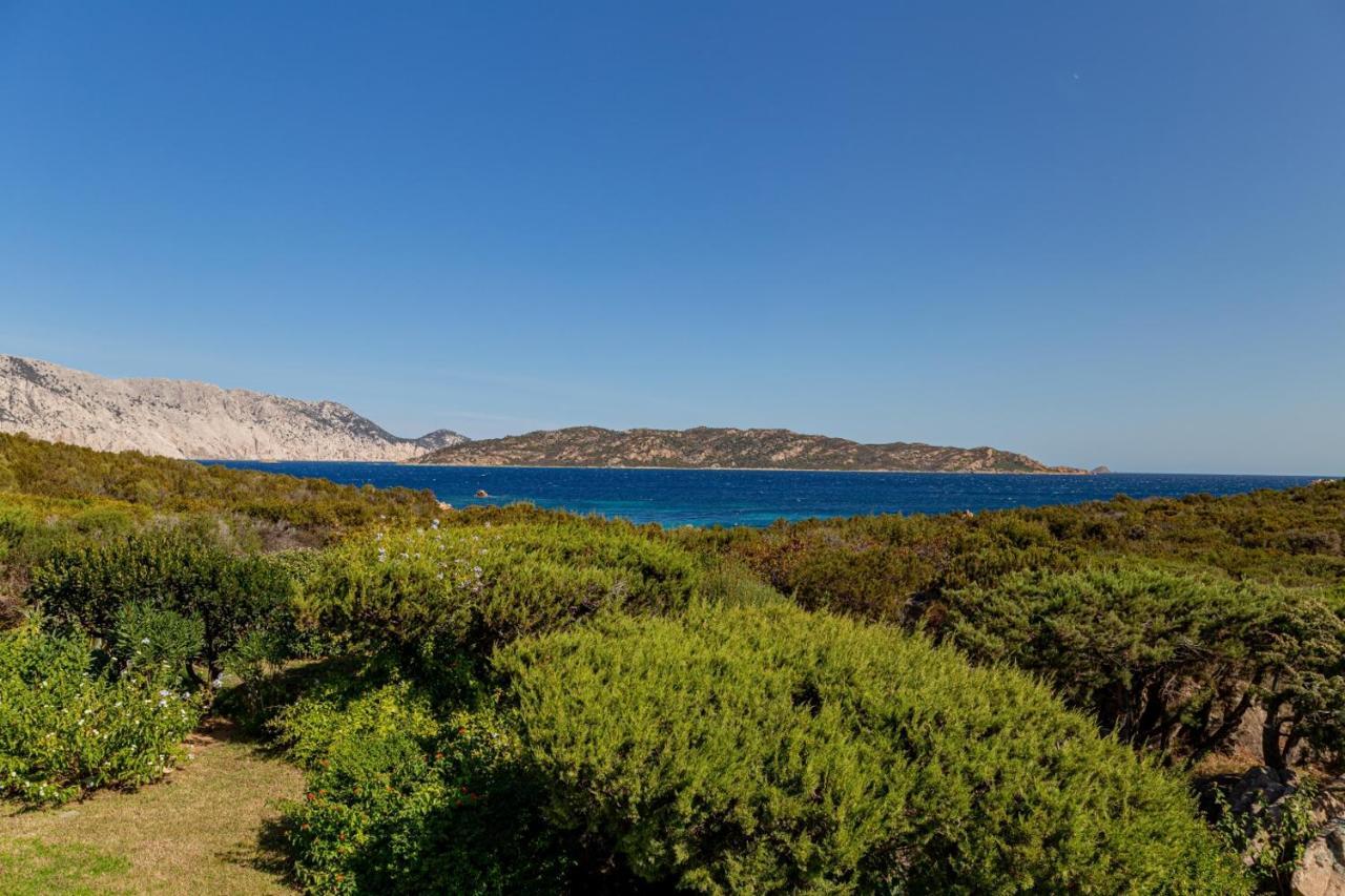 Appartamento Cala Paradiso Сан-Теодоро Экстерьер фото